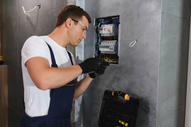 Best Electric Panel Repair  in Dovesville, SC
